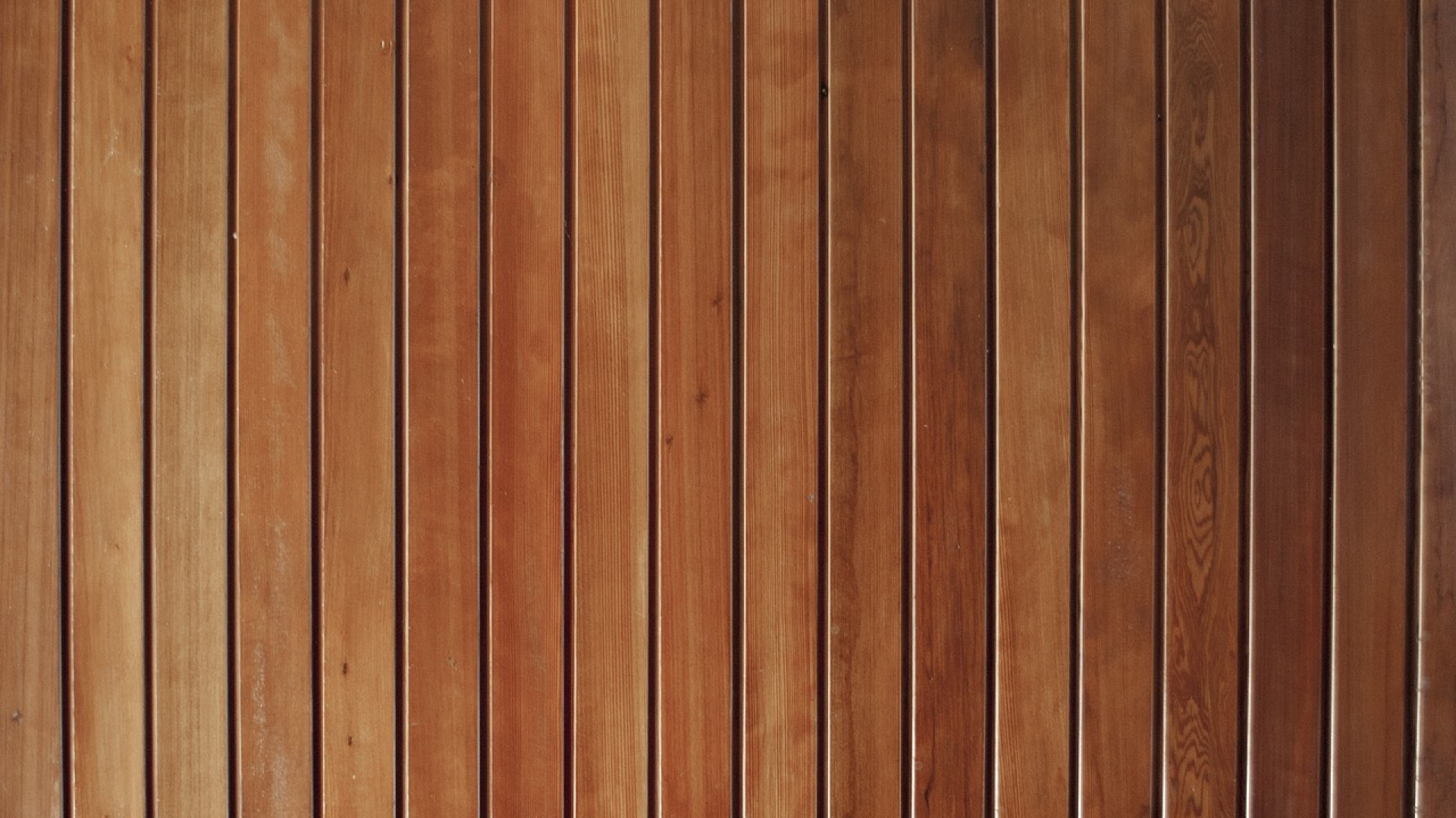 Les revêtements de paroi murale : une solution pour transformer votre intérieur