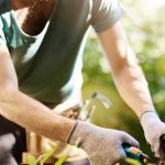 Jardinage à domicile : comment entretenir son jardin sans effort ?