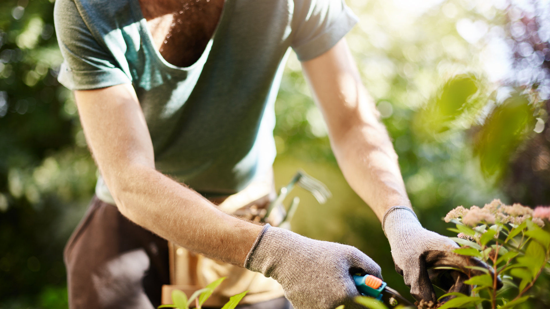 Jardinage à domicile : comment entretenir son jardin sans effort ?