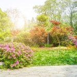 Printemps, été, automne : les bons gestes pour un jardin impeccable