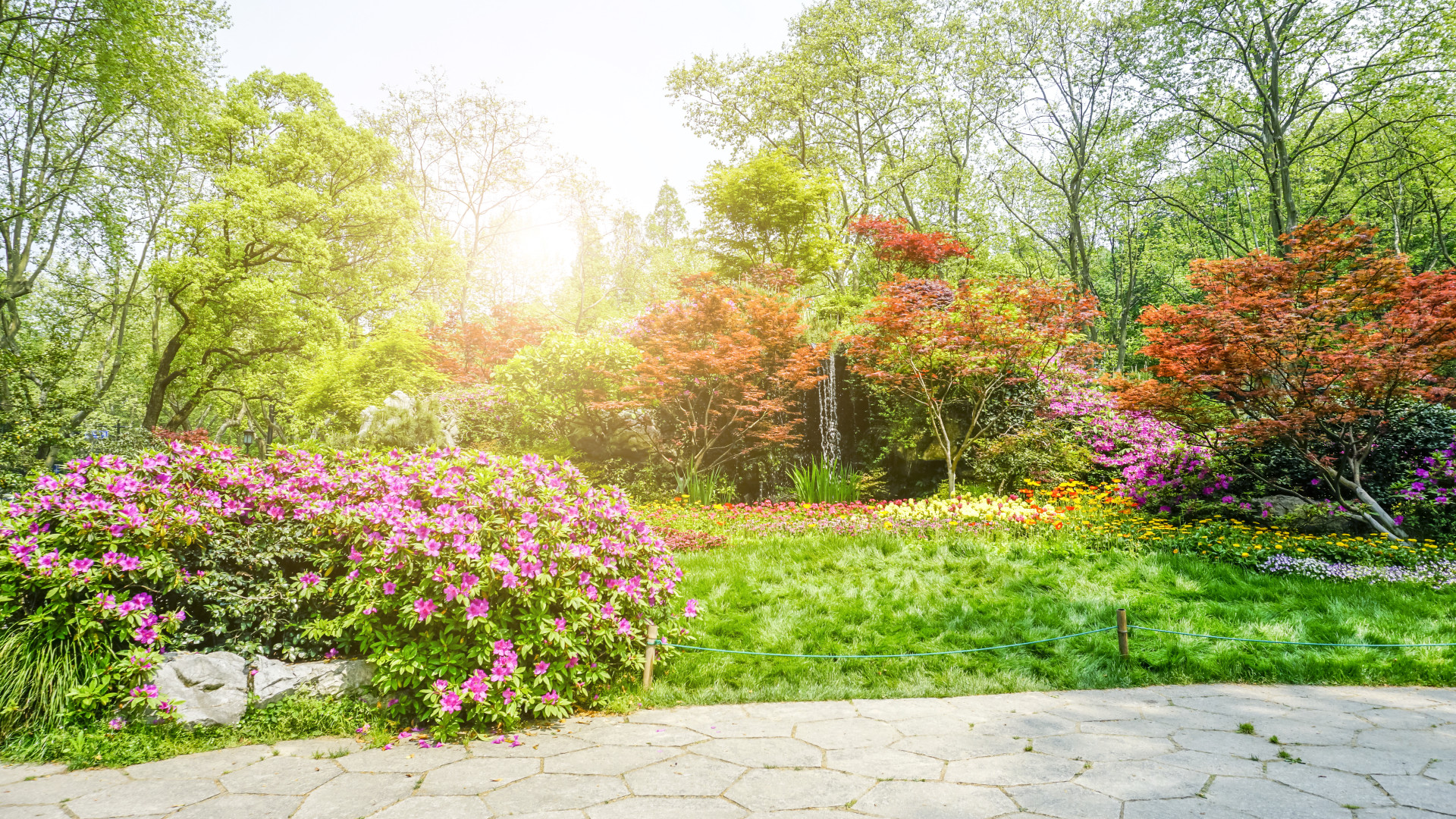Printemps, été, automne : les bons gestes pour un jardin impeccable